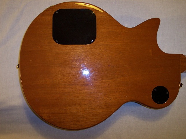 Bluesbird Picture 9